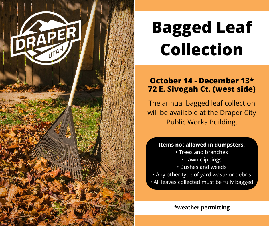 Image of Bagged Leaf Collection Dumpsters